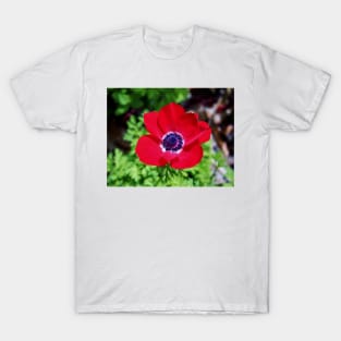 Red Anemone T-Shirt